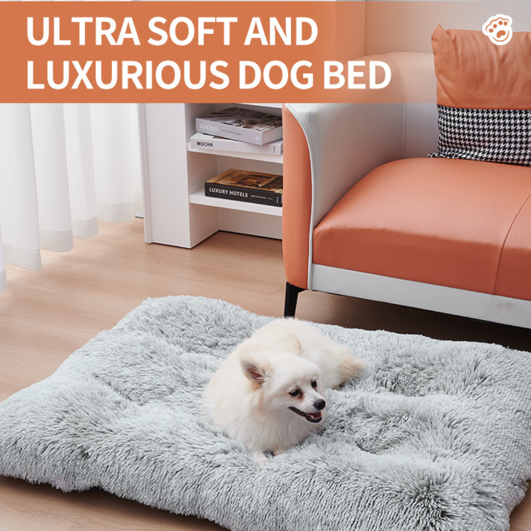 A grey dog beds with a white dog on a wooden floor and a chair behind