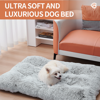 A grey dog beds with a white dog on a wooden floor and a chair behind