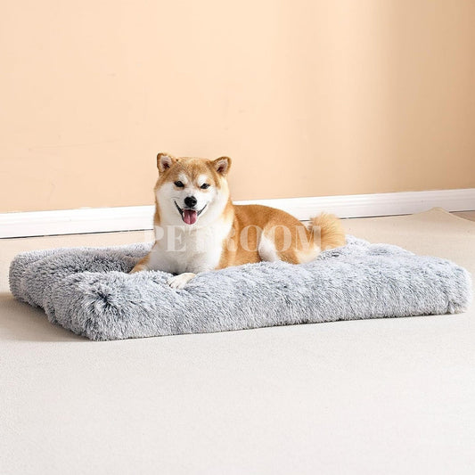 A grey dog beds with a beige dog