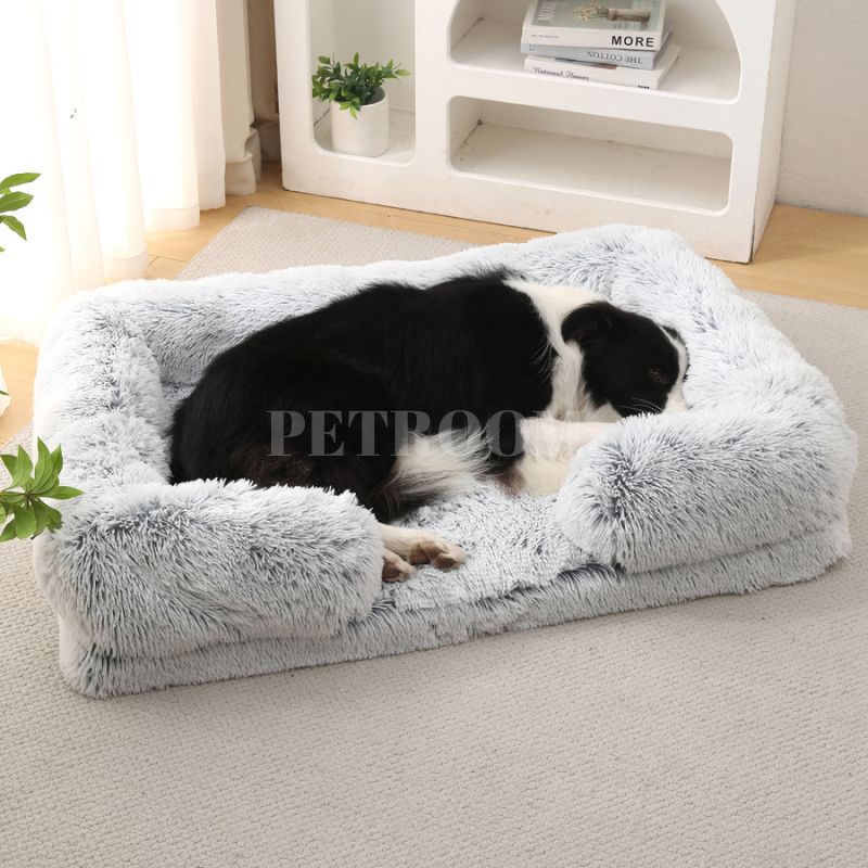 A white and balck dog sleeping in a light  Dog beds that's on a carpet with shelves, plants and three books behind