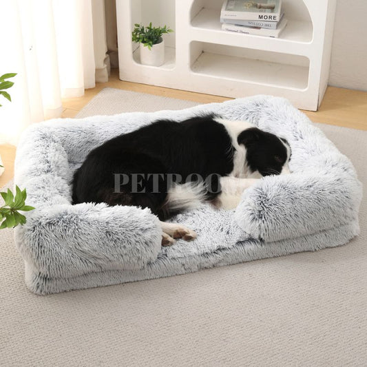 A white and balck dog sleeping in a light  Dog beds that's on a carpet with shelves, plants and three books behind