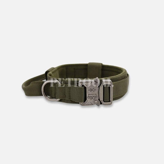 A green Dog collars